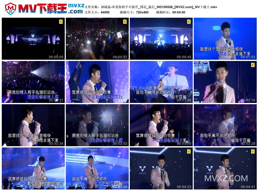 孙晓磊-牵着你的手不放开_国语_流行_MEC00528